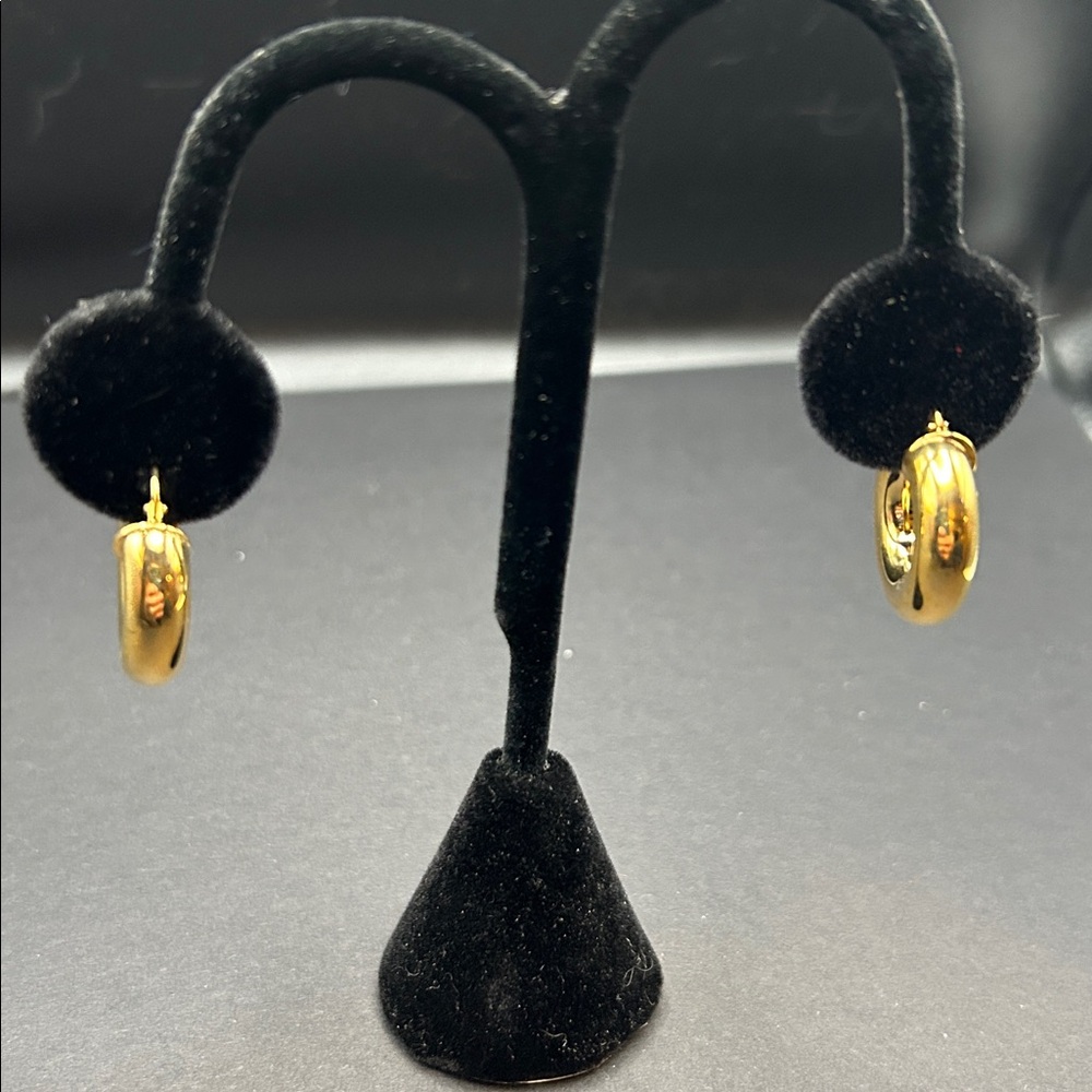 Gold Hoop Earrings